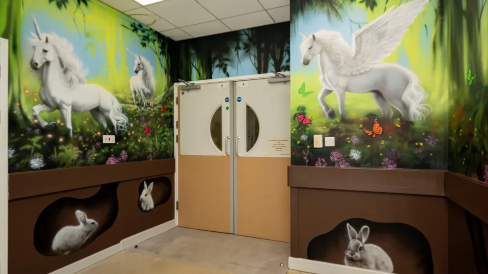 Hospital's magical murals become TikTok hit